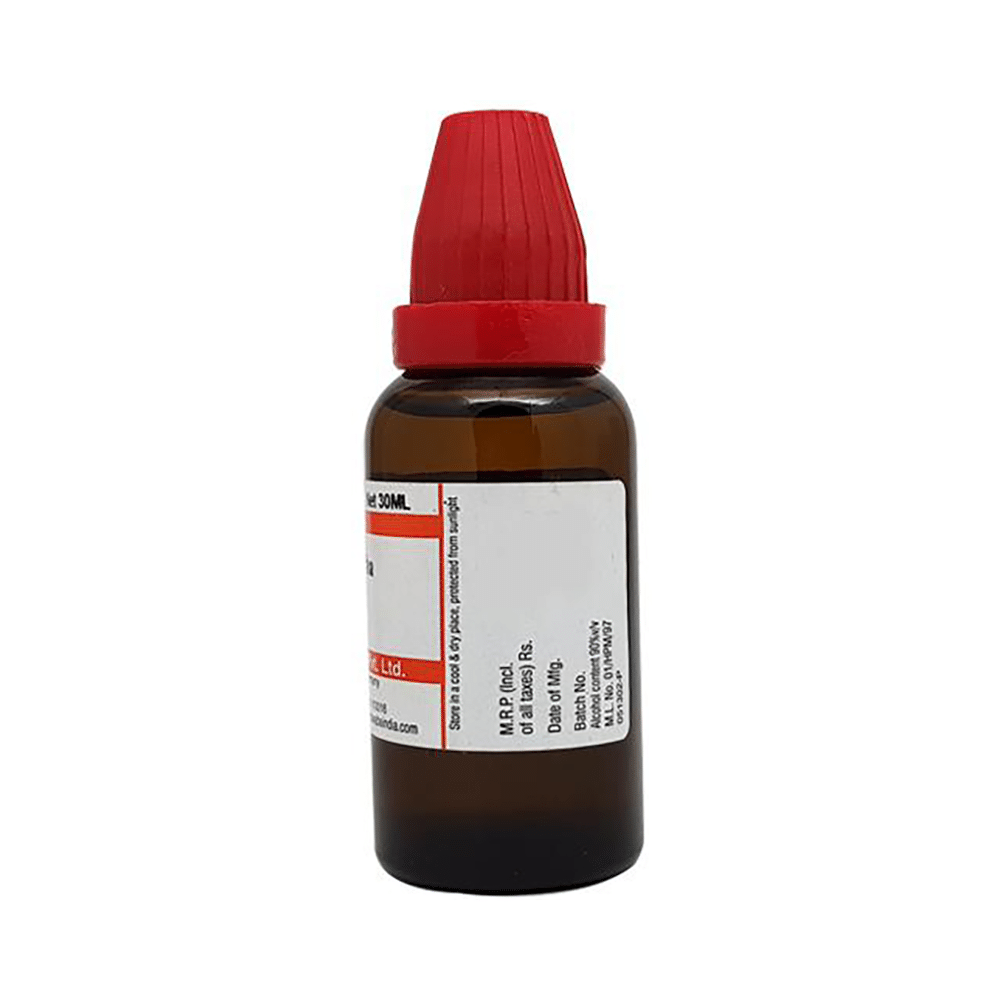 Dr Willmar Schwabe India Jaborandi Mother Tincture Q - Image 1