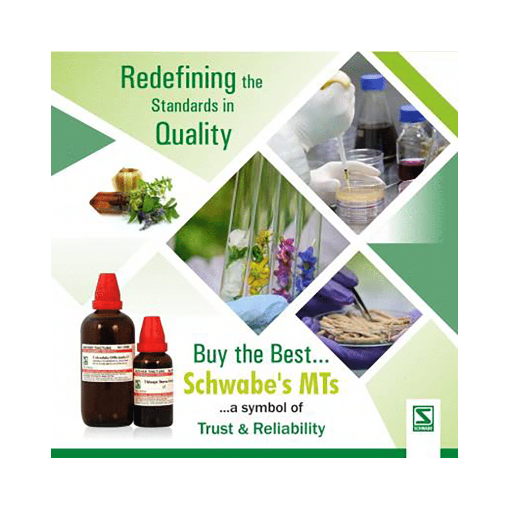 Dr Willmar Schwabe India Jaborandi Mother Tincture Q - Image 3