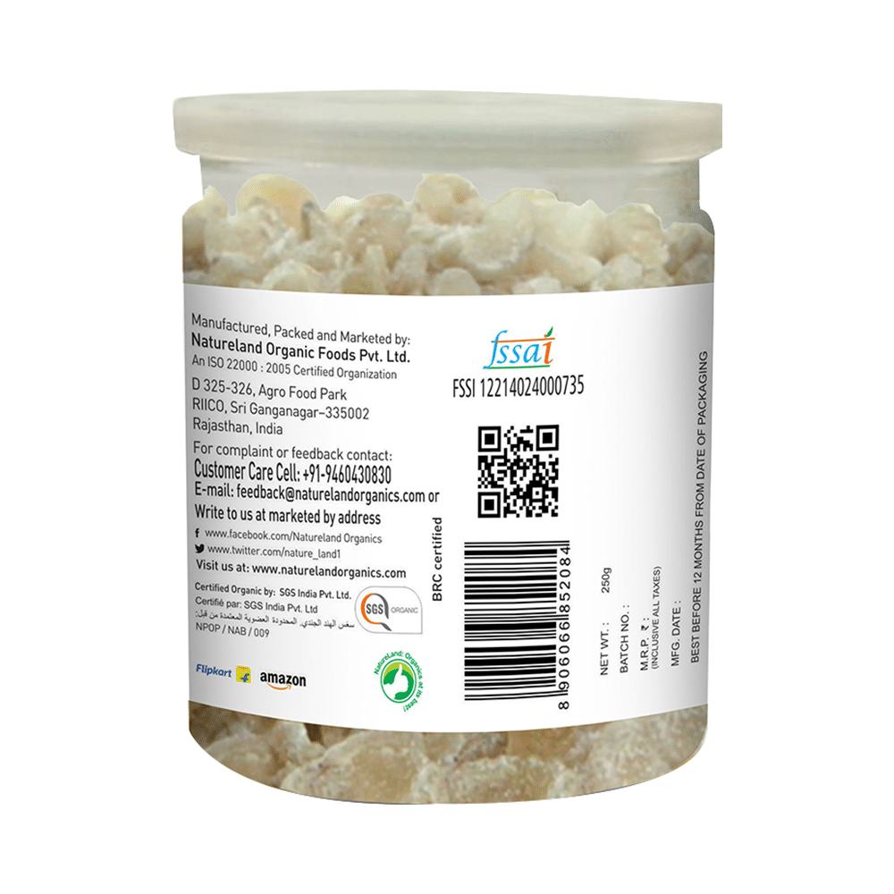 Natureland Organic Dry Amla Sweet - Image 3