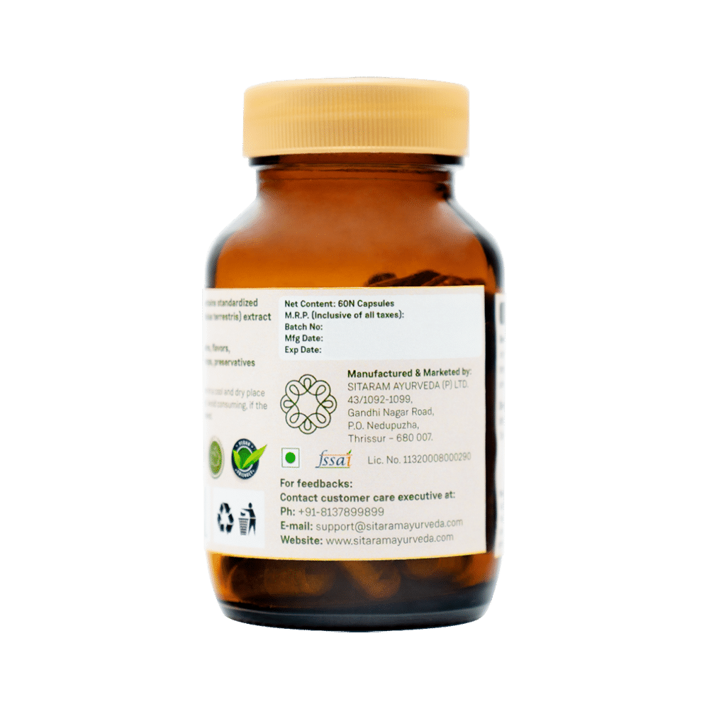 Sitaram Ayurveda Gokshura Capsule - Image 3