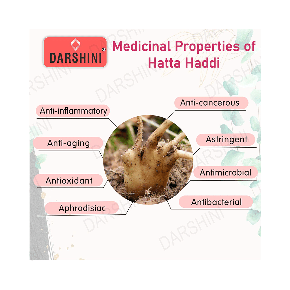 Darshini Salam Panja (Dactylorhiza Hatagirea)/Hatta Haddi/Salab Panja - Image 3