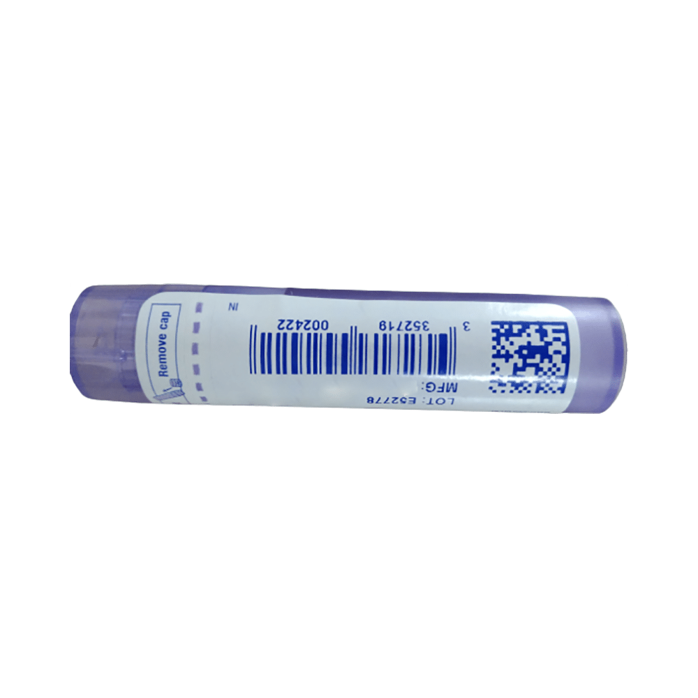 Boiron Natrum Sulphuricum Pellets 30C - Image 2
