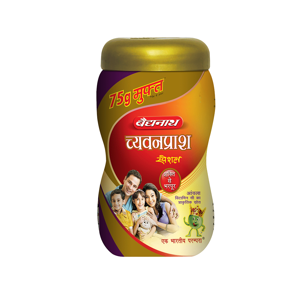 Baidyanath (Noida) Chyawanprash Special - Image 3
