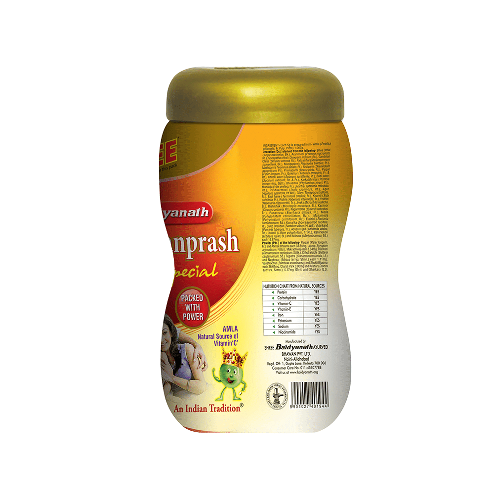 Baidyanath (Noida) Chyawanprash Special - Image 2
