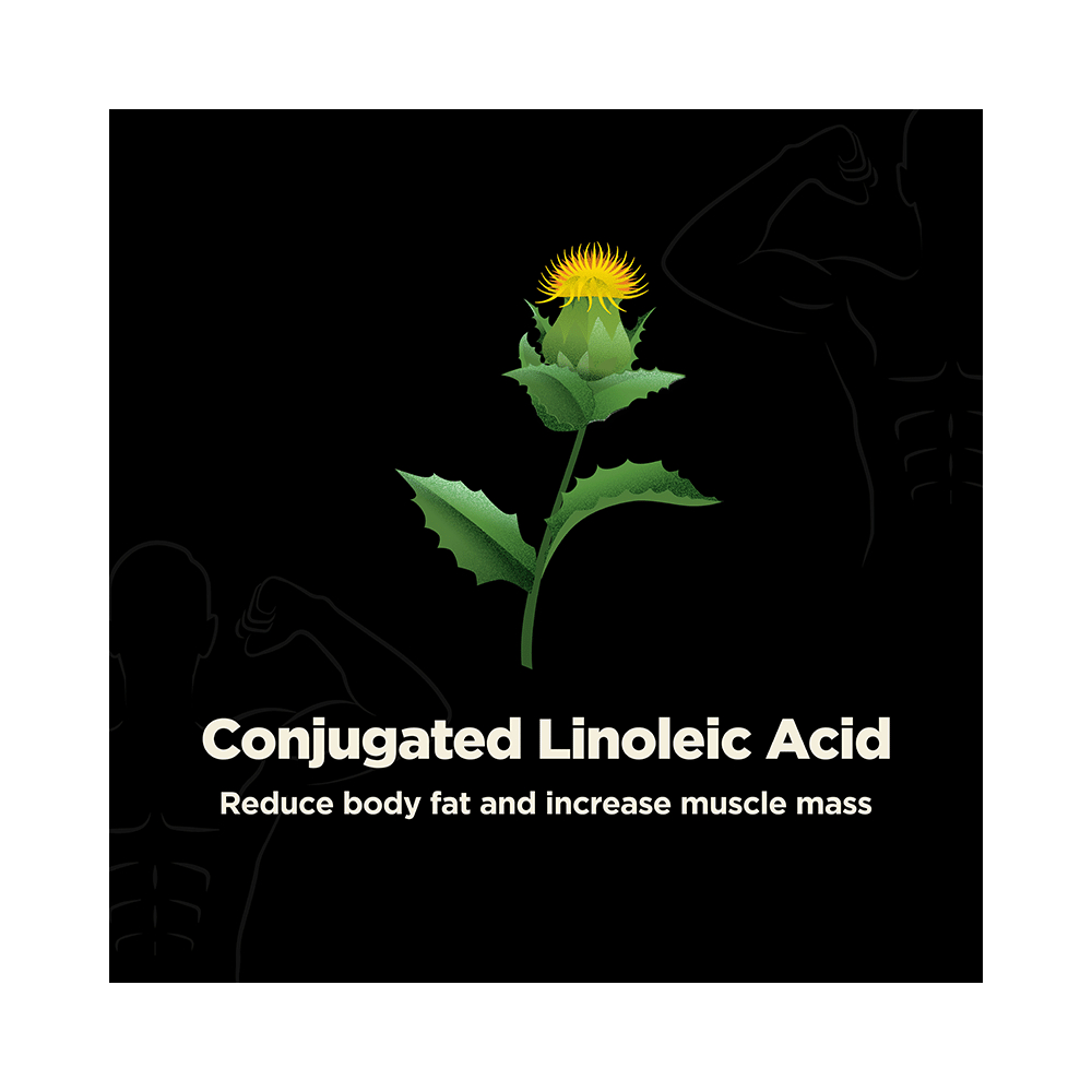 Foresta Organics CLA 1600 with 80% Conjugated Linoleic Acid Vegan Capsule - Image 5