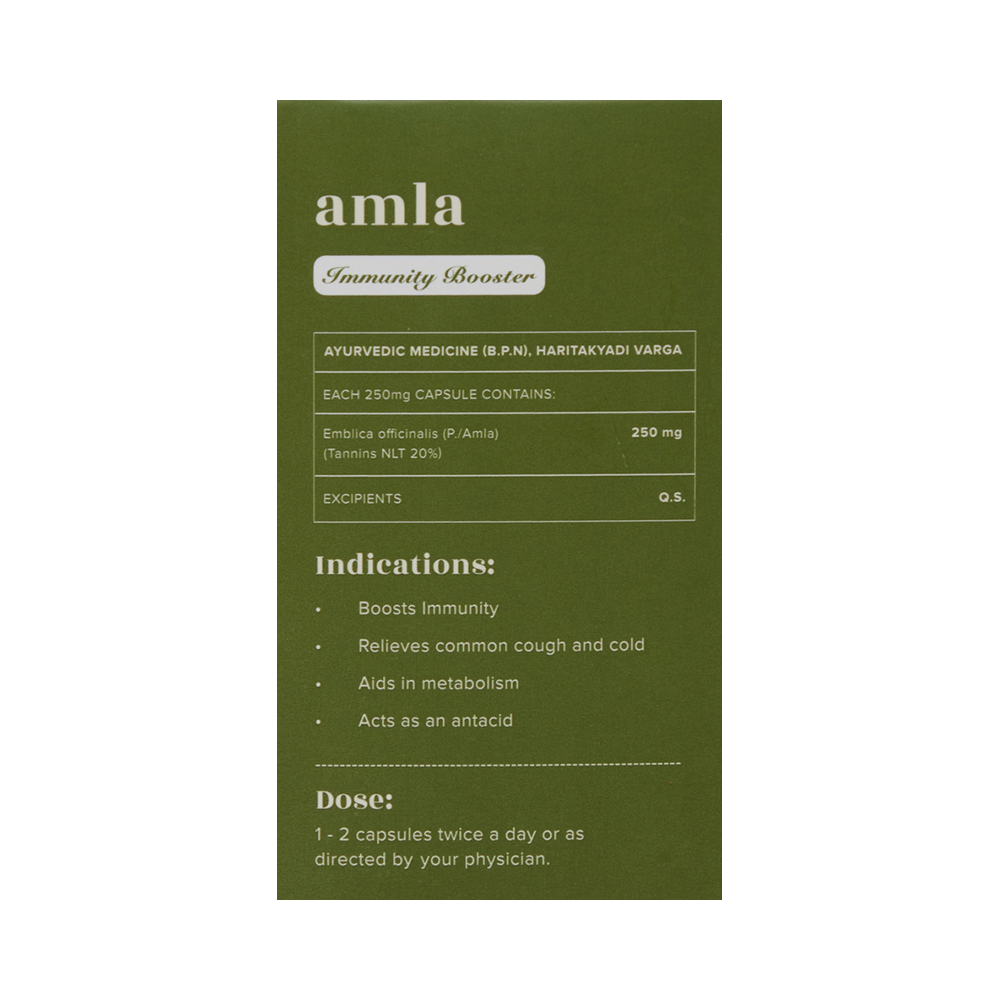 Baidyanath (Jhansi) Ayurvedant Amla Capsule - Image 2