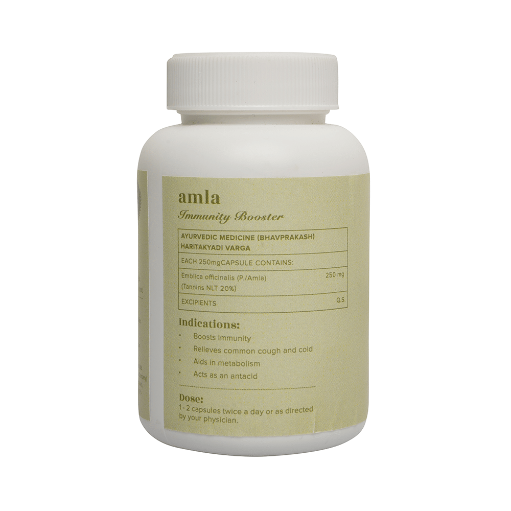 Baidyanath (Jhansi) Ayurvedant Amla Capsule - Image 5
