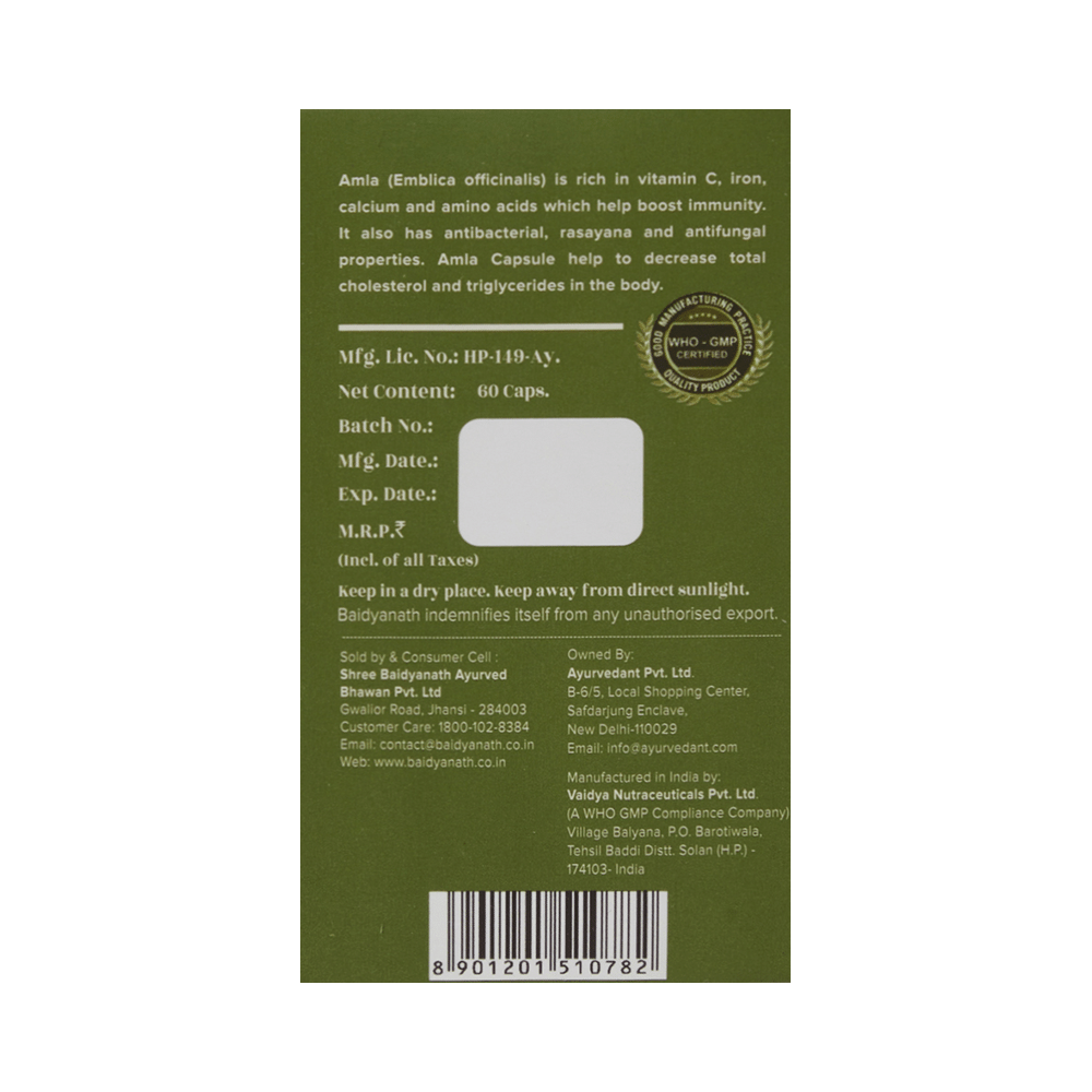 Baidyanath (Jhansi) Ayurvedant Amla Capsule - Image 3