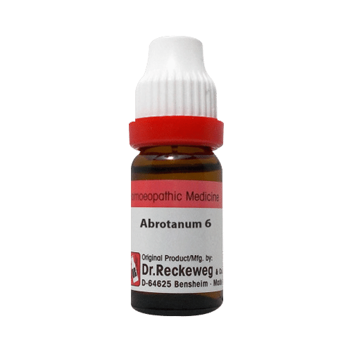 Dr. Reckeweg Abrotanum Dilution 6 CH - Image 1