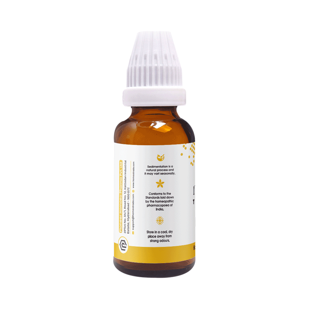 Pioneer Pharma Hydrocotyle Mother Tincture Q - Image 3