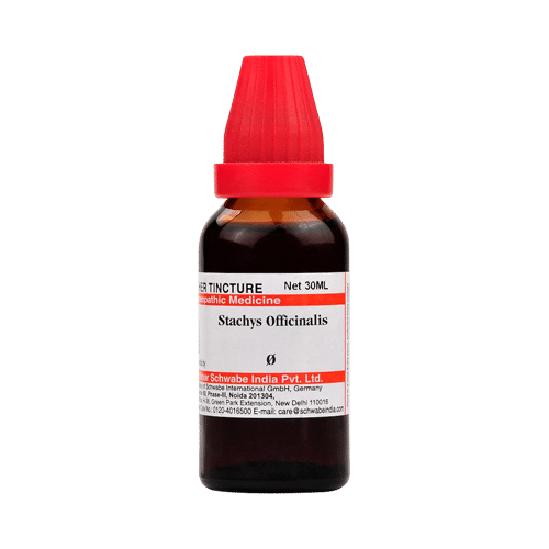 Dr Willmar Schwabe India Stachys Officinalis Mother Tincture Q - Image 1