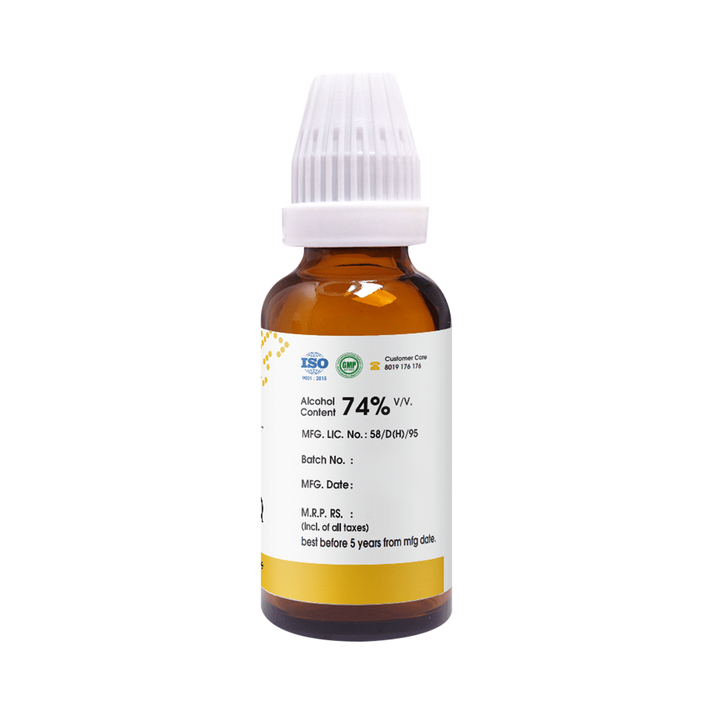 Pioneer Pharma Mother Tincture Gaultheria Q - Image 2