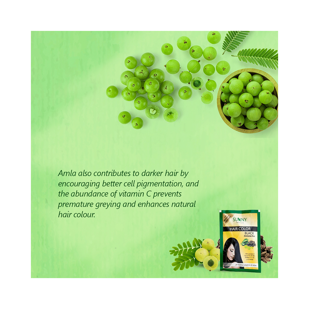 Sunny Herbals Hair Color 12 Sachets Black - Image 6
