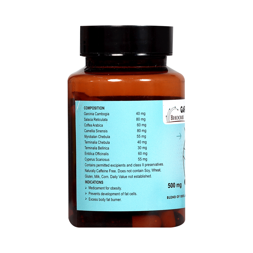Bhoomi Garcinia Cambogia Capsule - Image 2