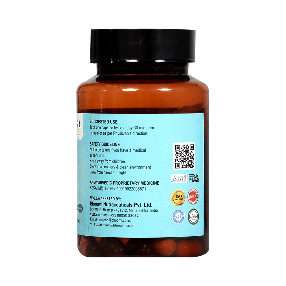 Bhoomi Garcinia Cambogia Capsule - Image 3