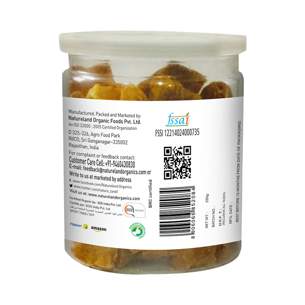 Natureland Organic Dry Amla Chatpata - Image 3