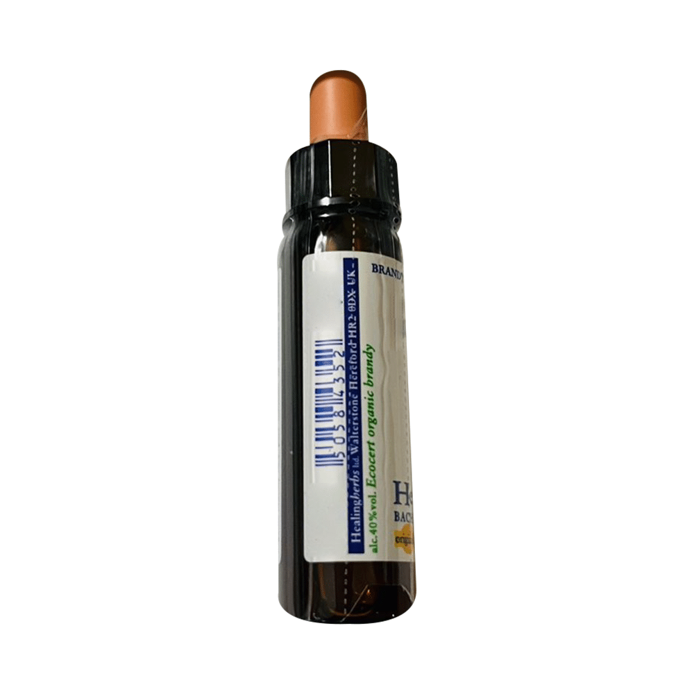 Healing Herbs Bach Flower Aspen - Image 4