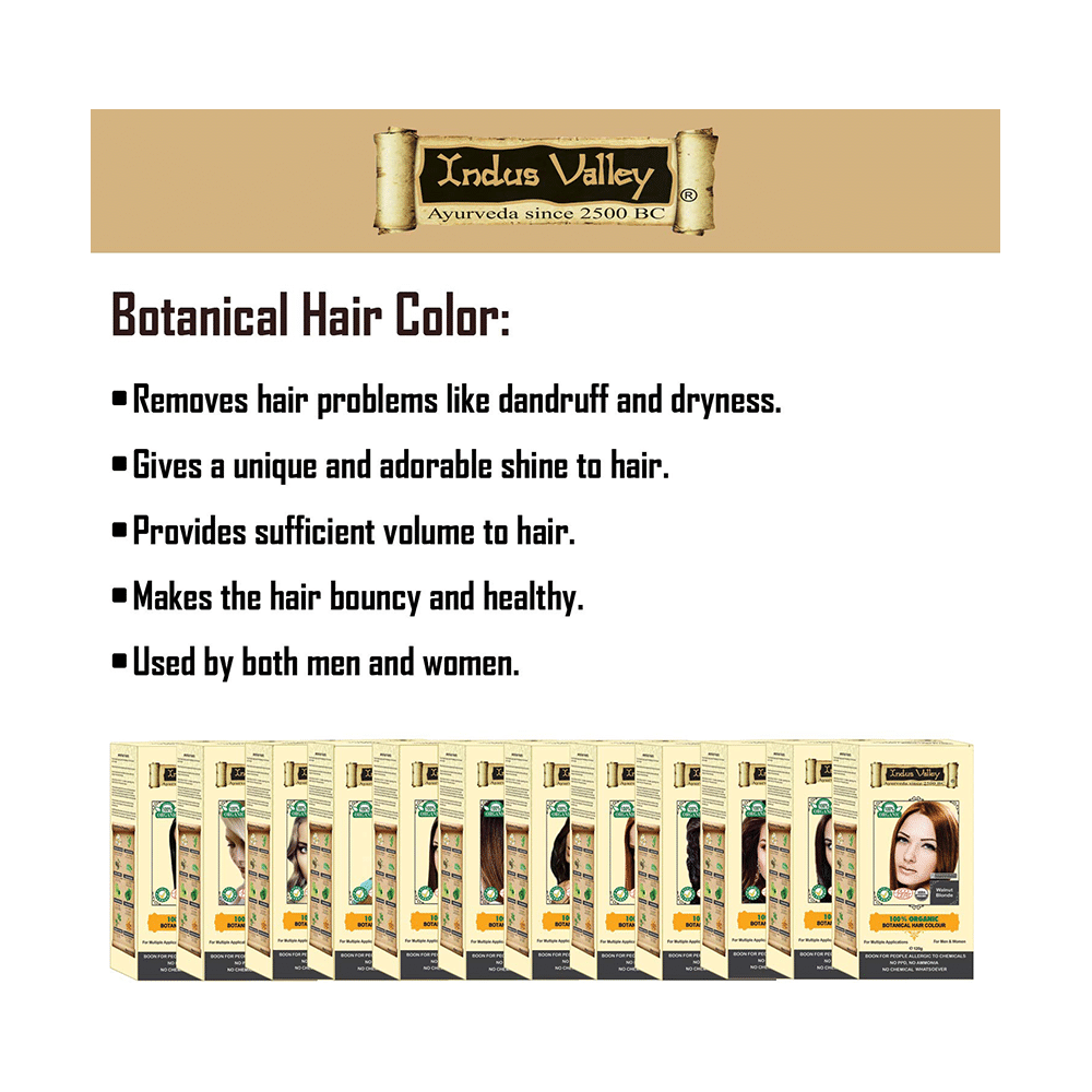 Indus Valley Soft Black Botanical Hair Colour - Image 6