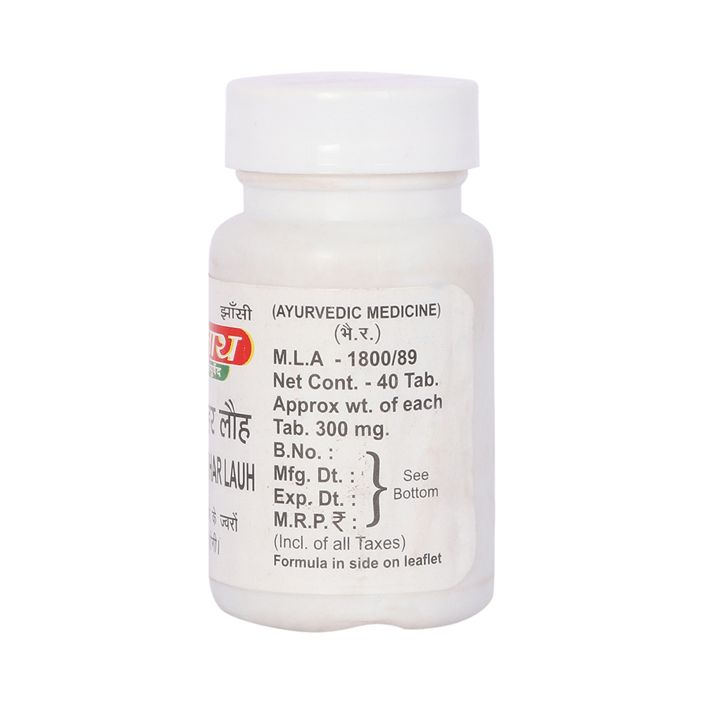Baidyanath (Jhansi) Sarvajwarhar Lauh Tablet - Image 2
