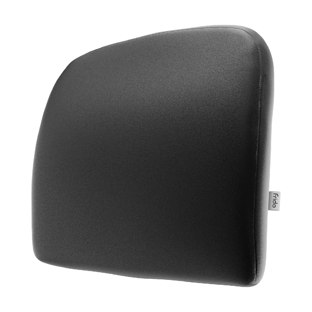 Frido Slim Lumbar Cushion Black - Image 1