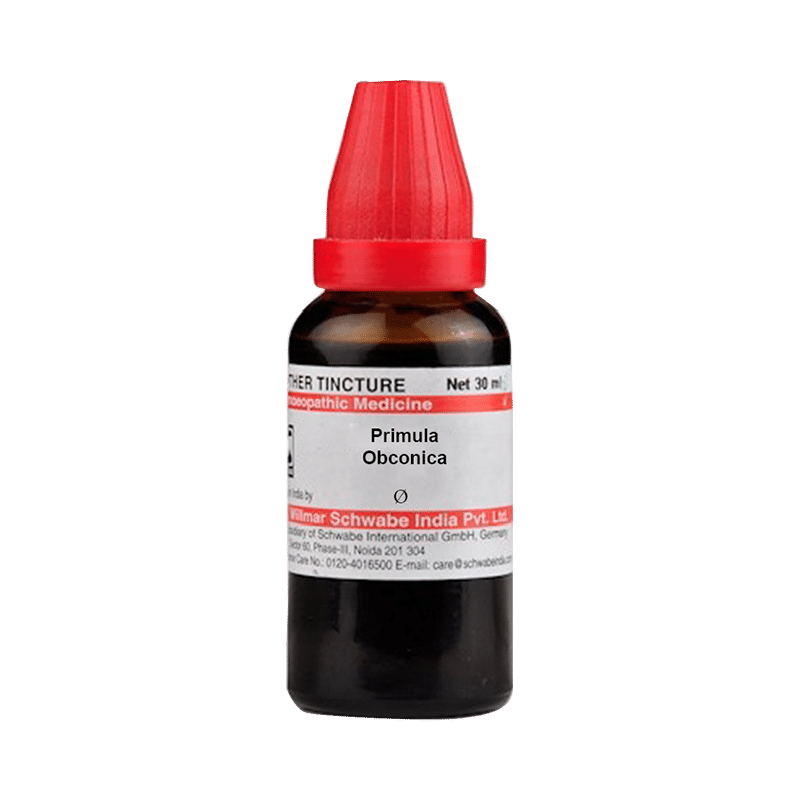 Dr Willmar Schwabe India Primula Obconica Mother Tincture Q - Image 1