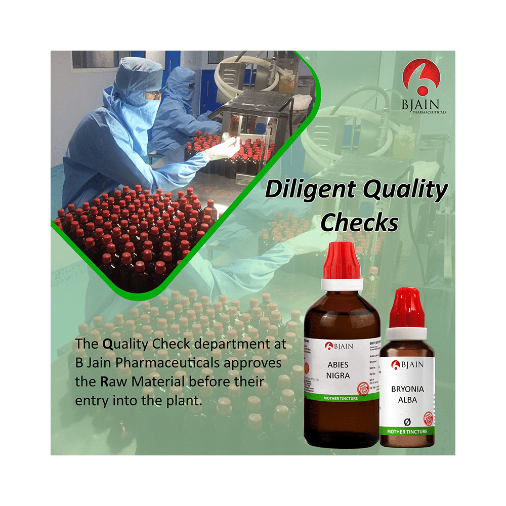 Bjain Prunus Spinosa Mother Tincture Q - Image 3