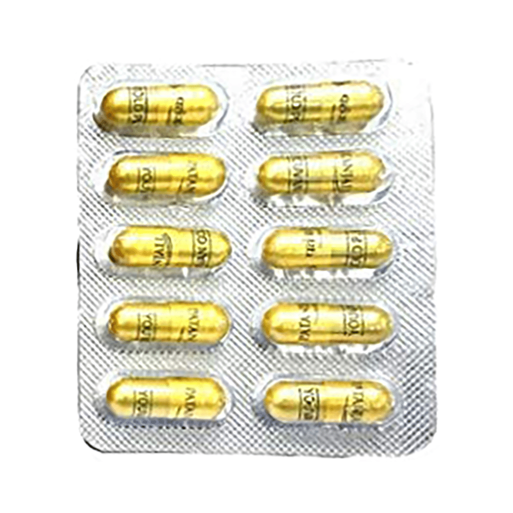 Patanjali Ayurveda Youvan Gold Plus Vegetarian Capsule - Image 2