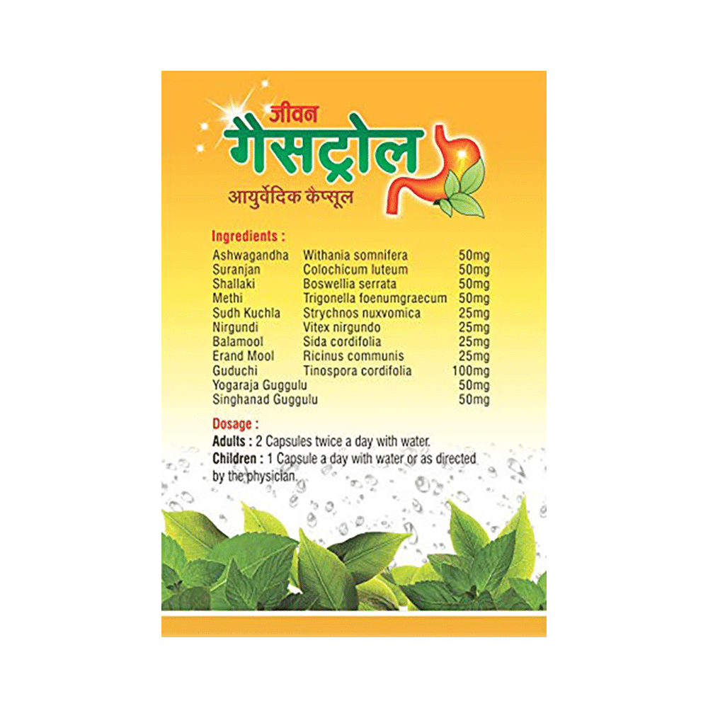 Jeewan Gastrol Ayurvedic Capsule - Image 2