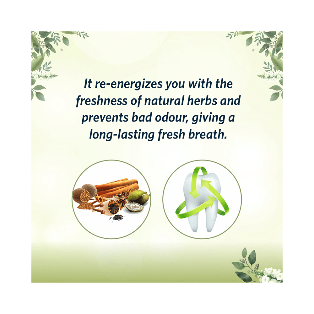 The Mouth Company Herbal Mix Toothpaste (75gm Each) - Image 4