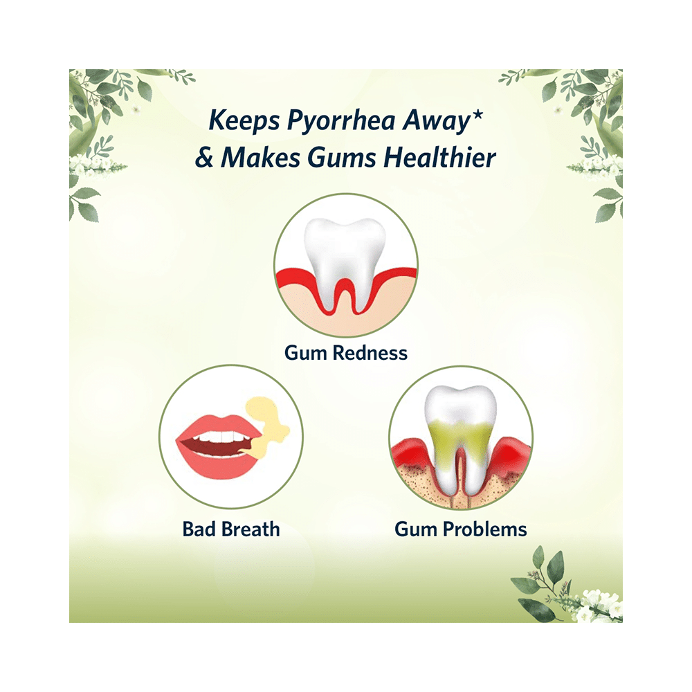 The Mouth Company Herbal Mix Toothpaste (75gm Each) - Image 6