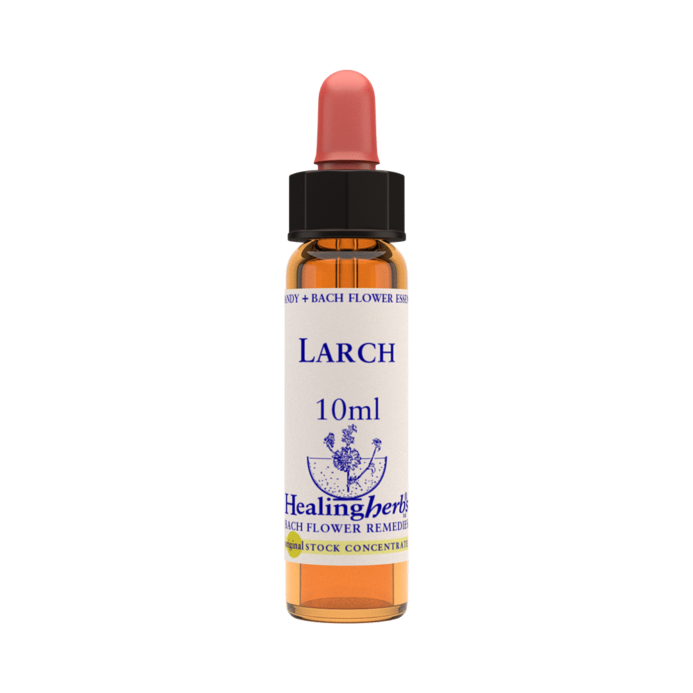 Healing Herbs Bach Flower Larch