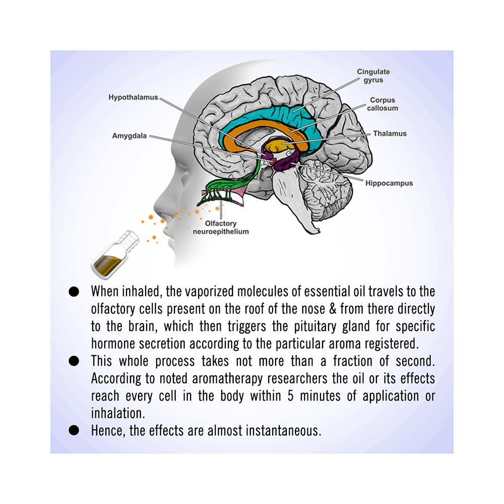 Keya Seth Aromatherapy Hot and Cold Cold & Cough Reliever - Image 10