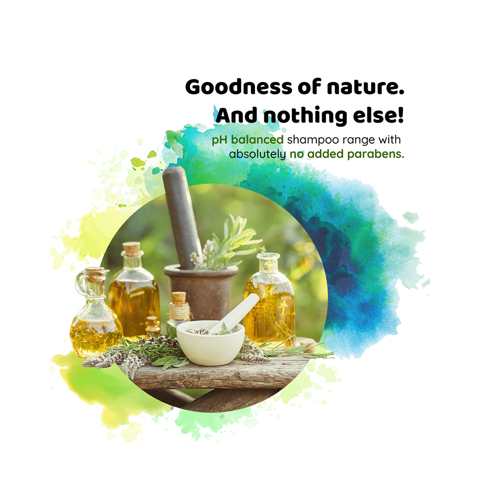 Nyle Naturals Dryness Hydration Shampoo - Image 5
