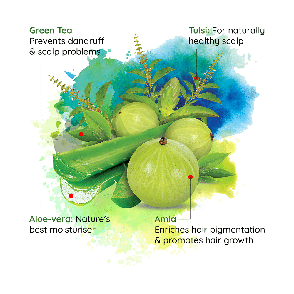 Nyle Naturals Dryness Hydration Shampoo - Image 3