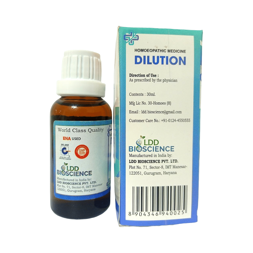 LDD Bioscience Teucrium M V Dilution 1000 CH - Image 2