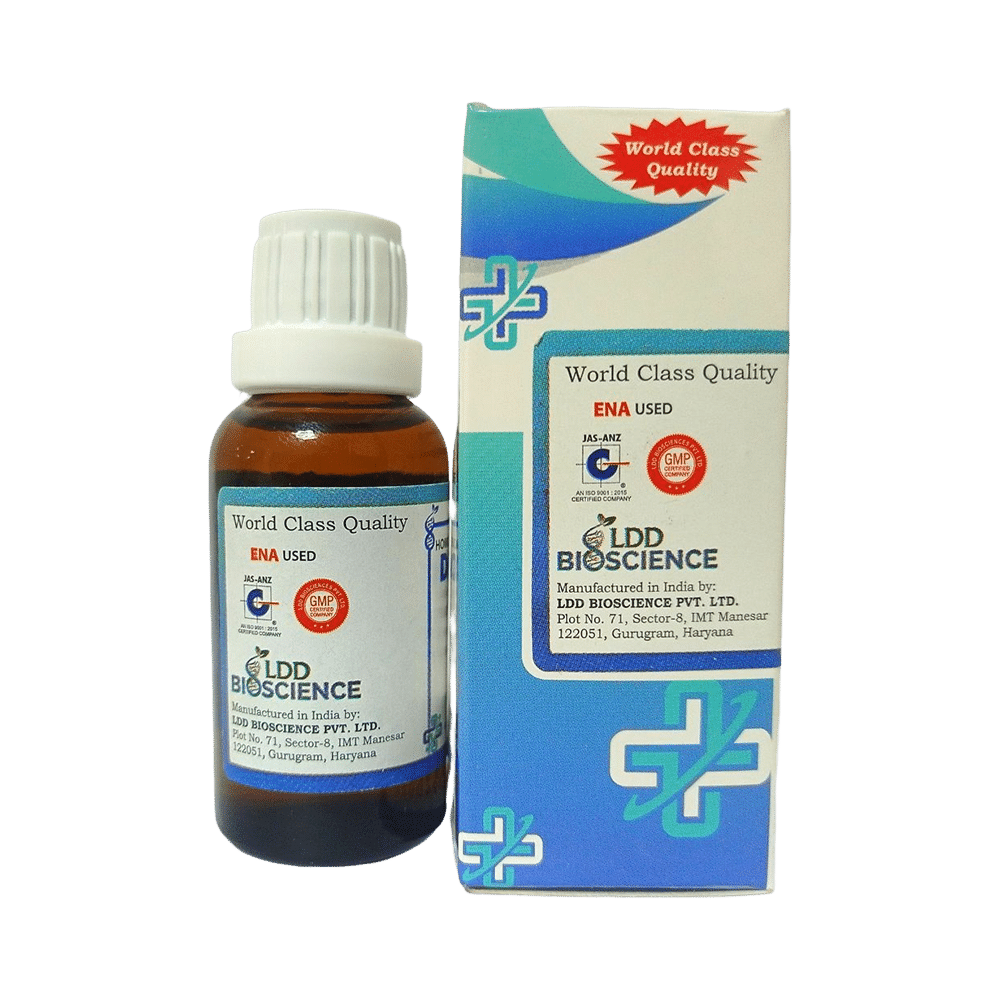 LDD Bioscience Teucrium M V Dilution 1000 CH - Image 3