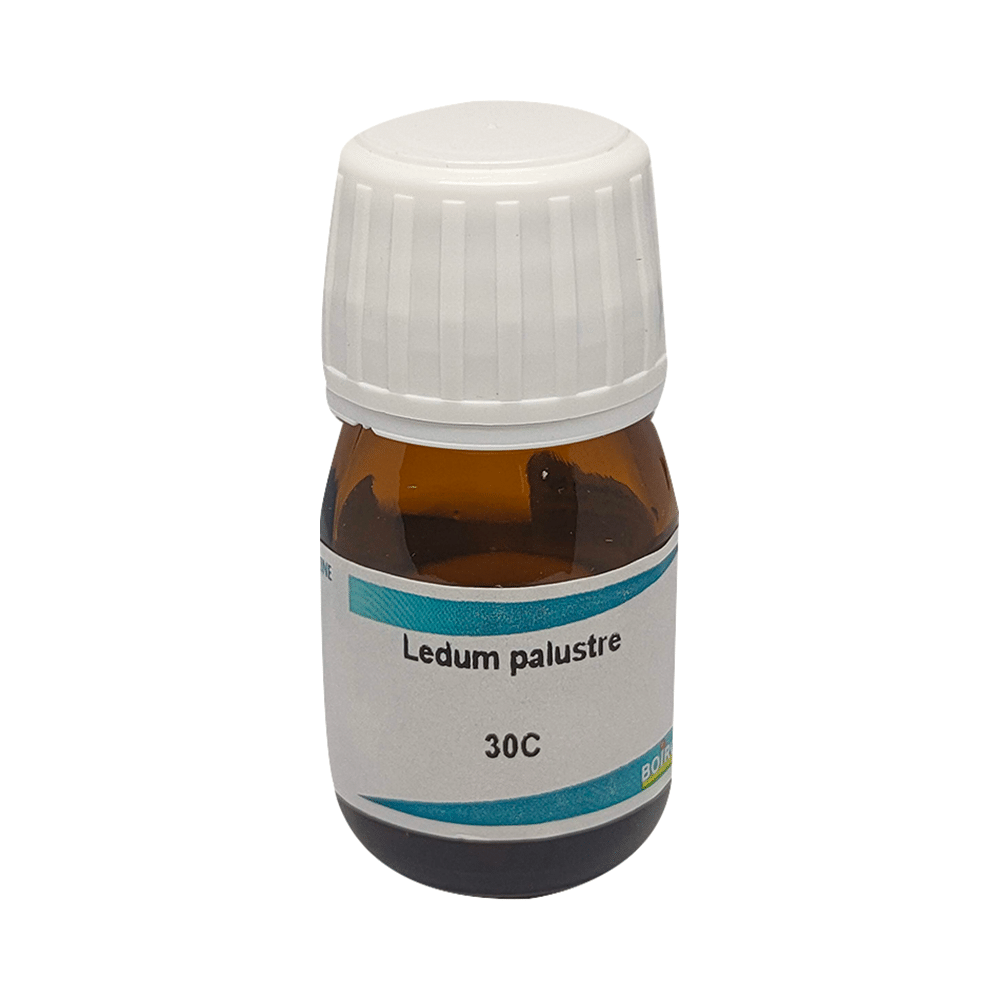 Boiron Ledum Palustre Dilution 30C