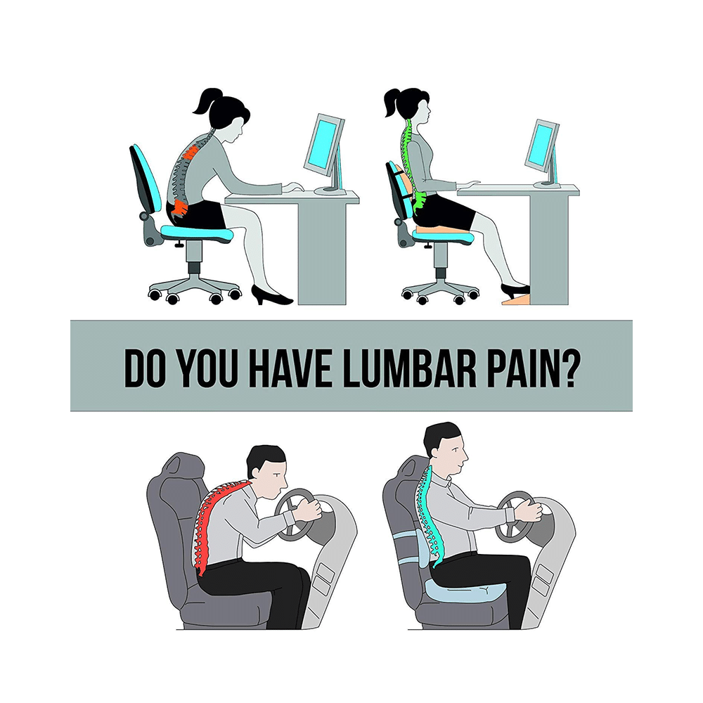 AccuSure Ortho Support Backrest - Image 5