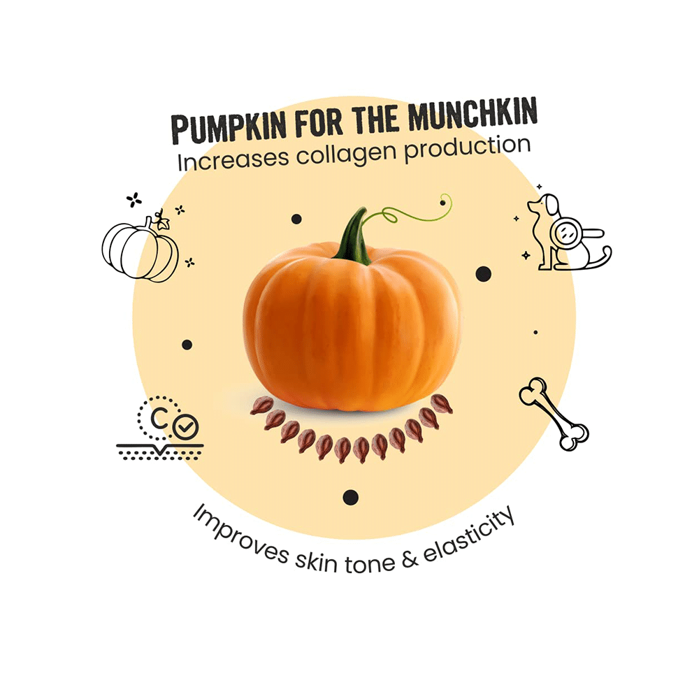 Bark Out Loud Glow & Shine Turmeric Chewstix - Image 3