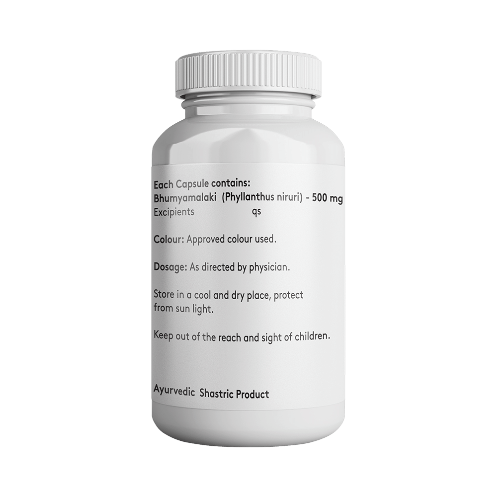 Giosun Bhumyamalaki 500mg Veg Capsule - Image 2
