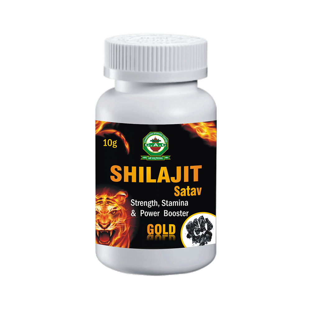 Chandigarh Ayurved Centre Shilajit Satva Powder - Image 1