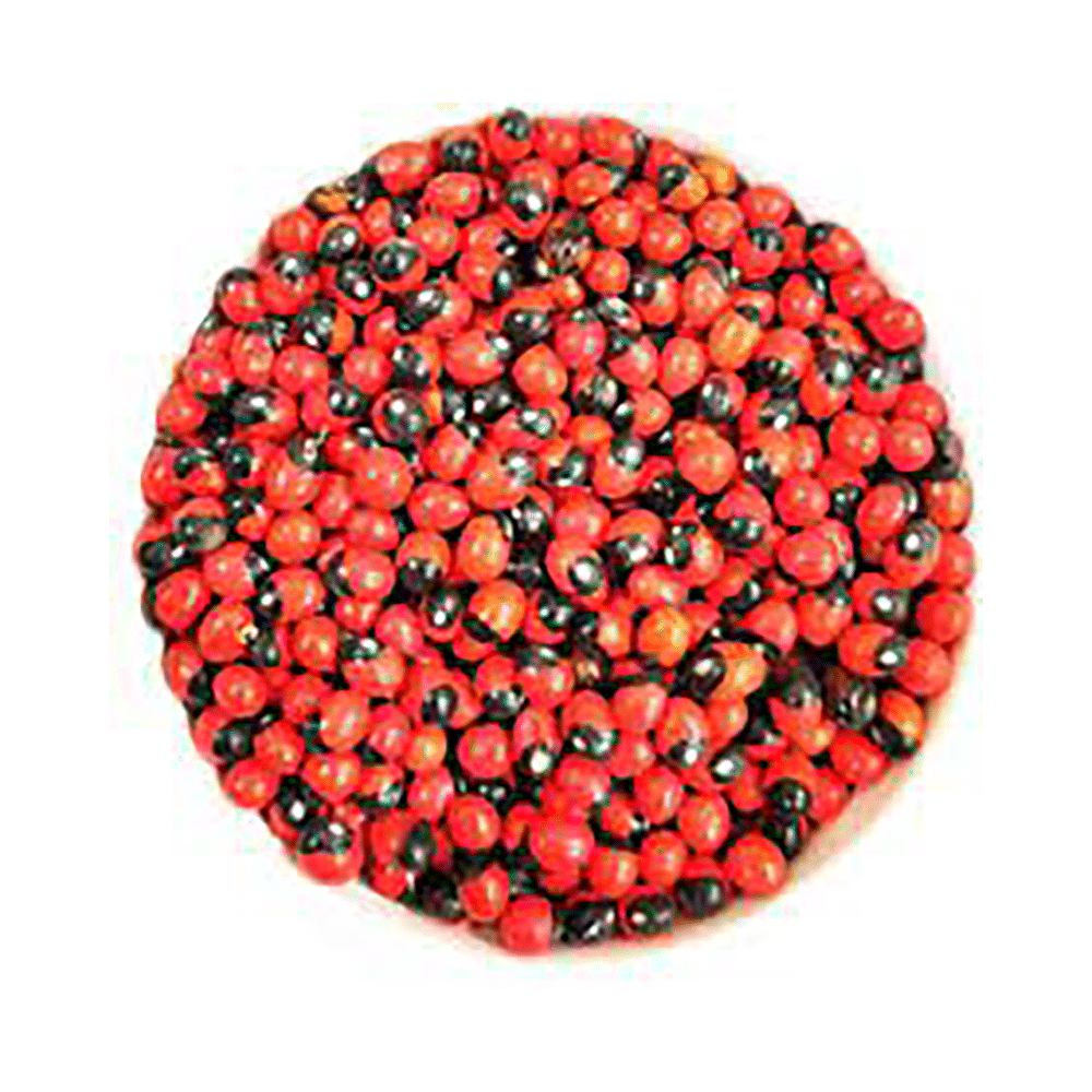 Azamdeal Gunja Lal (Chanori) Beej - Image 2