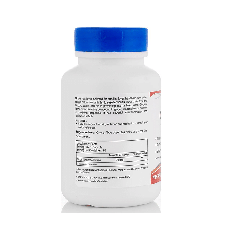 HealthVit Ginger 250mg Capsule - Image 2