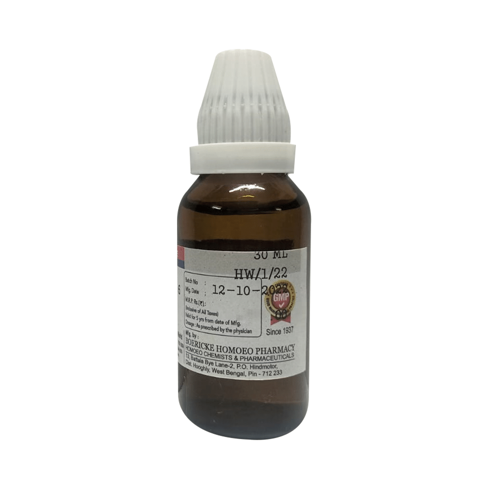 Dr. Majumder Homeo World Arnica Montana Dilution 6 (30ml Each) - Image 2