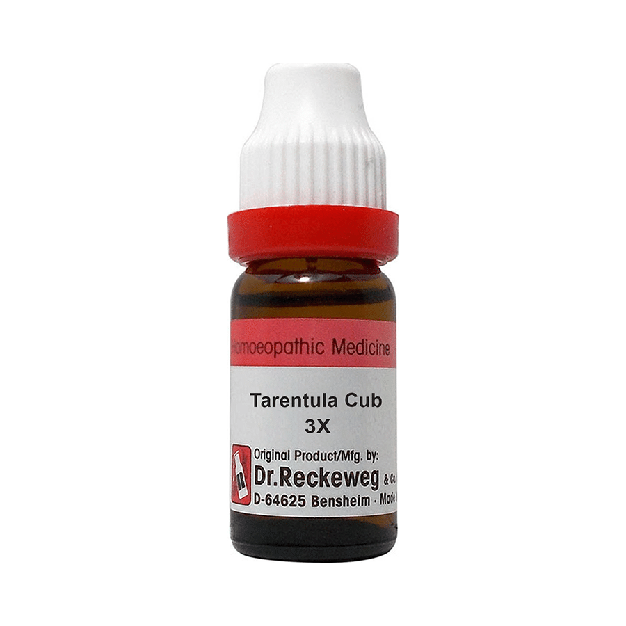 Dr. Reckeweg Tarentula Cub Dilution 3X - Image 1