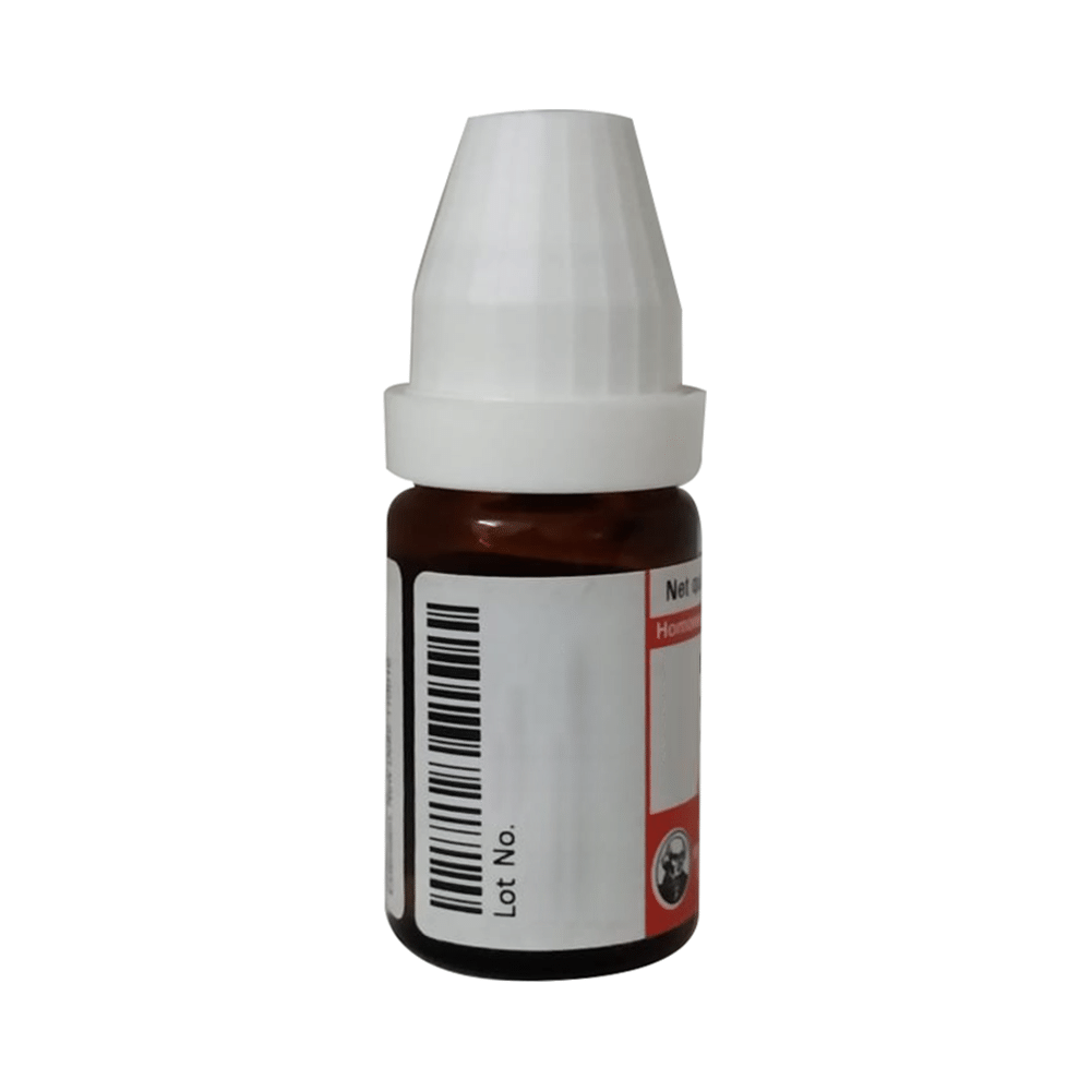 Dr Willmar Schwabe Germany Bryonia Alba Dilution 50M - Image 2