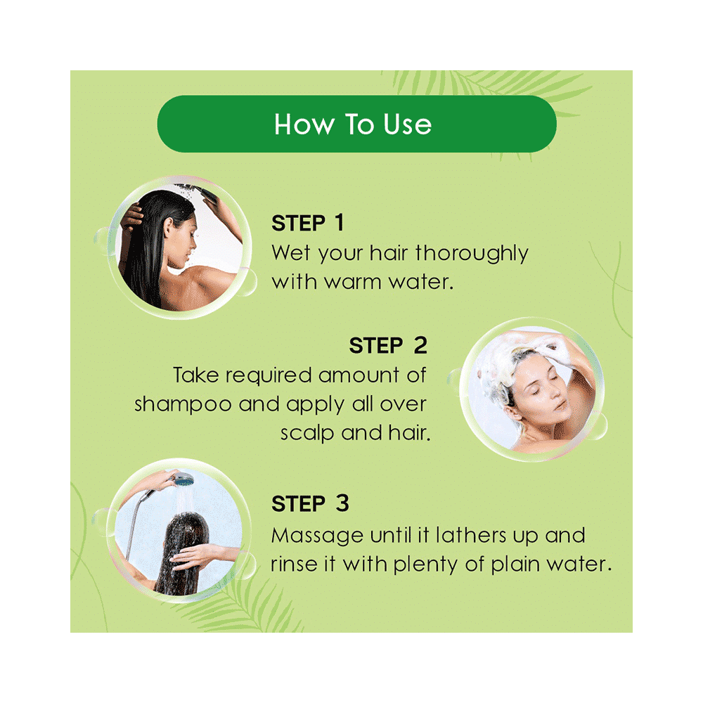 Nyle Natural Anti-Hairfall Shampoo Anti Dandruff - Image 7