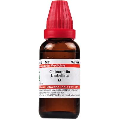 Dr Willmar Schwabe India Chimaphila Umbellata Mother Tincture Q - Image 1
