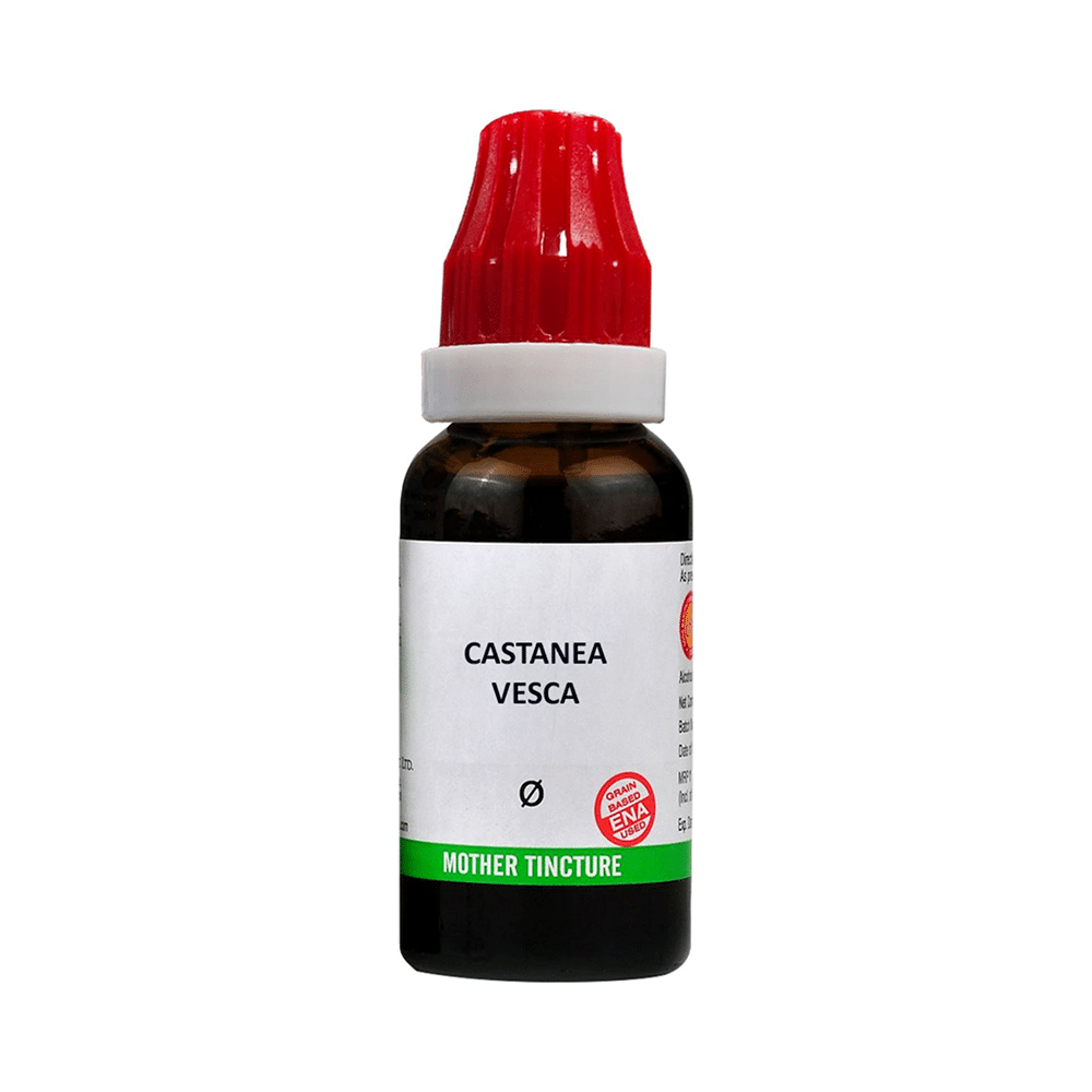 Bjain Castanea Vesca Mother Tincture Q