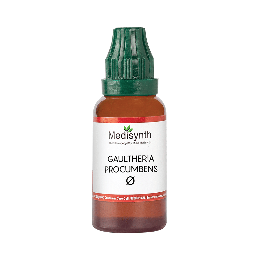 Medisynth Gaultheria Procumbens Mother Tincture Q - Image 3